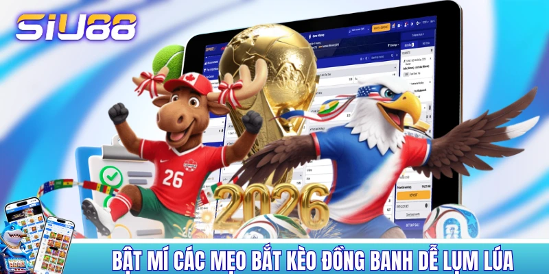 Bật mí các mẹo bắt kèo đồng banh dễ lụm lúa