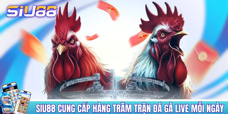Trang Chủ SIU88 cung cấp hàng trăm trận đá gà live mỗi ngày