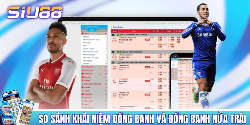 So sánh khái niệm đồng banh và đồng banh nửa trái