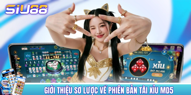 Giới thiệu sơ lược về phiên bản tài xỉu MD5 Giới thiệu sơ lược về phiên bản tài xỉu MD5