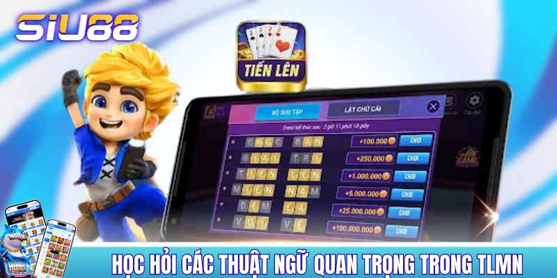 Học hỏi các thuật ngữ quan trọng trong TLMN